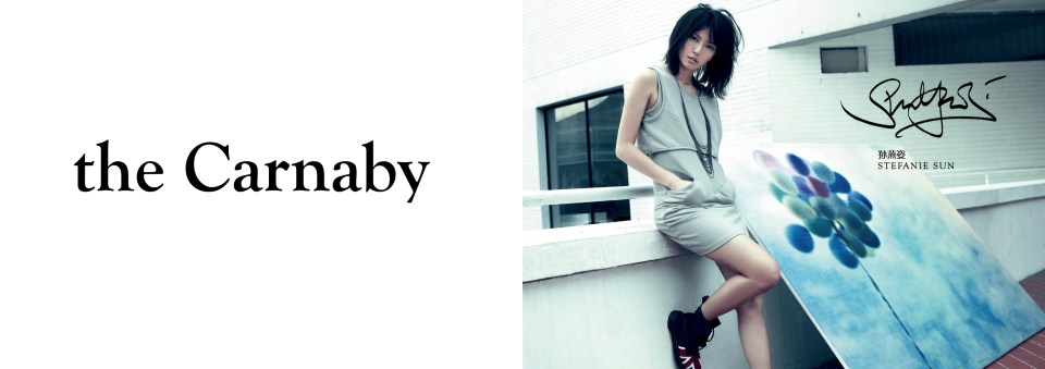 Brand Book-0913稿3-08版